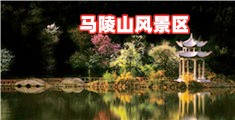 肏逼插鸡巴视频